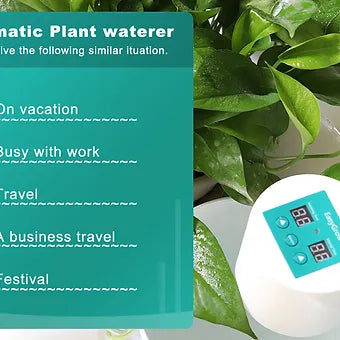 Intelligent Watering System