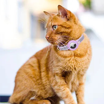 Pet Tracker Collar