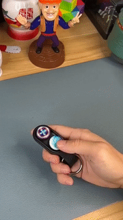 Magnificent Fidget Keychain Toy