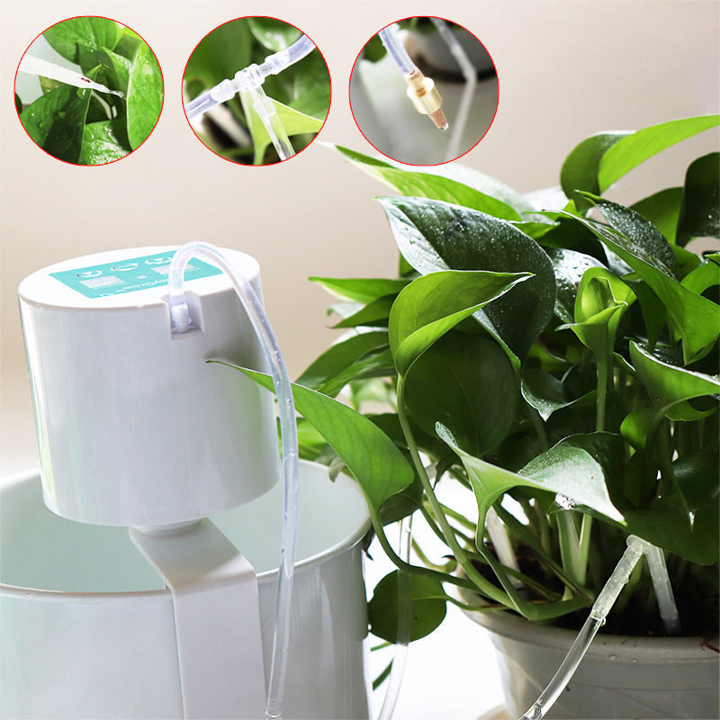 Intelligent Watering System