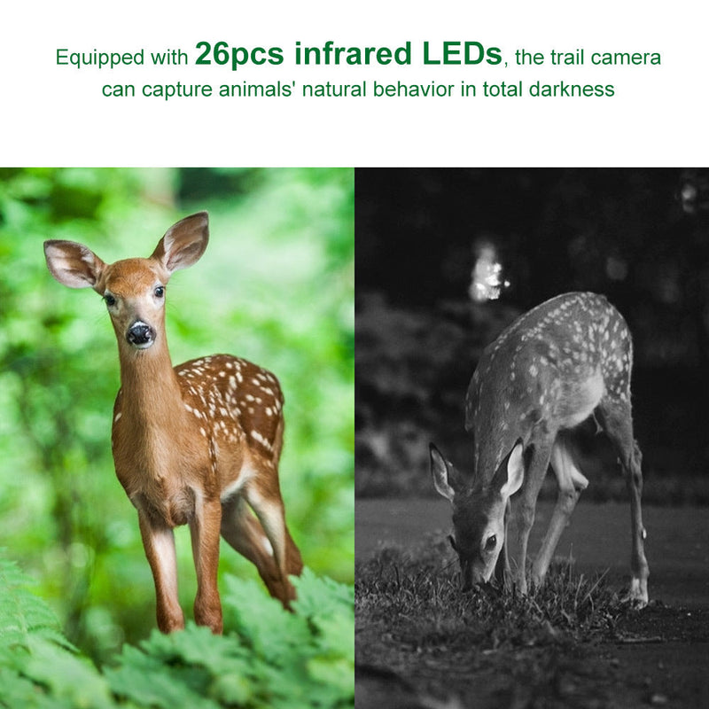 Infrared Night Vision Wildlife Camera