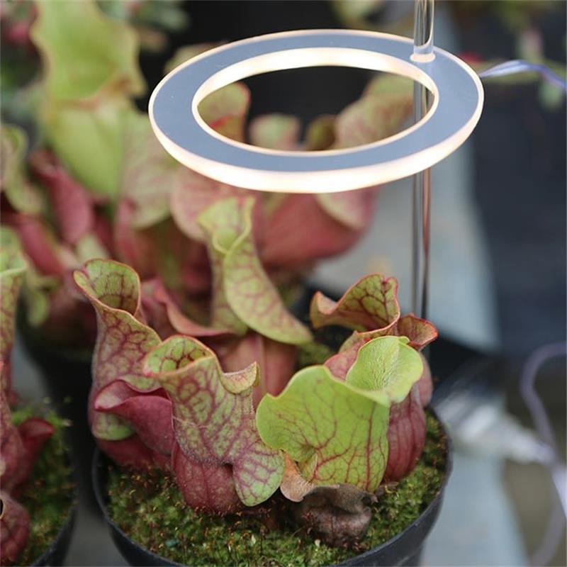 Indoor Plants Growth LED Lights