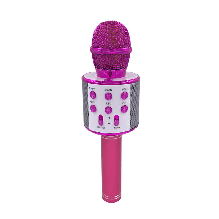 Multi-Function Bluetooth Microphone Speaker