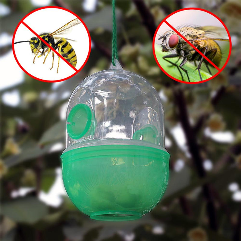 Wasp And Flies Trap
