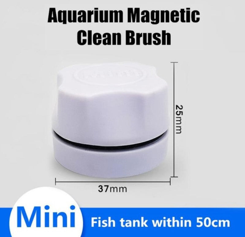 Magnetic Tank Cleaning Brush