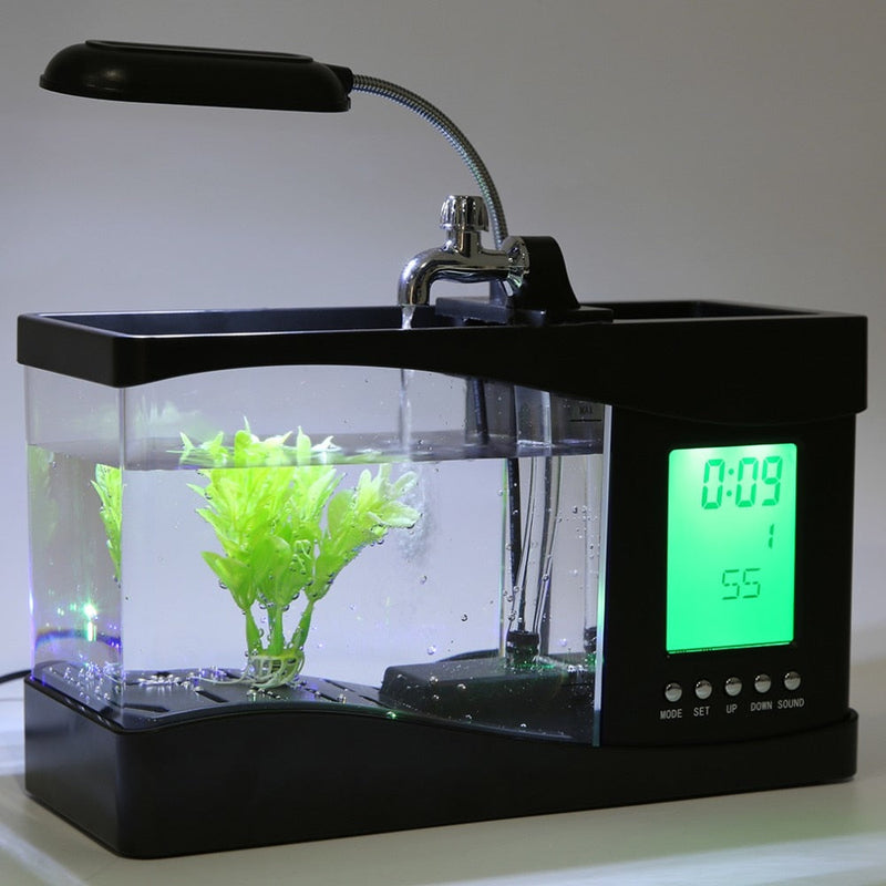 Multifunctional Mini Fish Tank