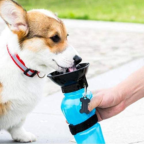 Pet Drinking Water Bowl Bottle