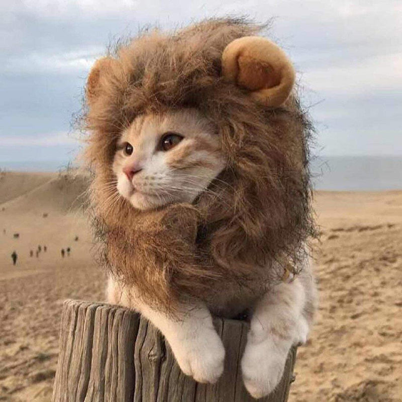 Lion Headgear For Pet