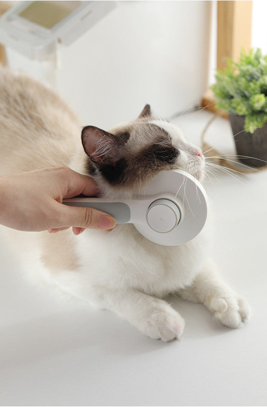 Pet Hair Remover Comb