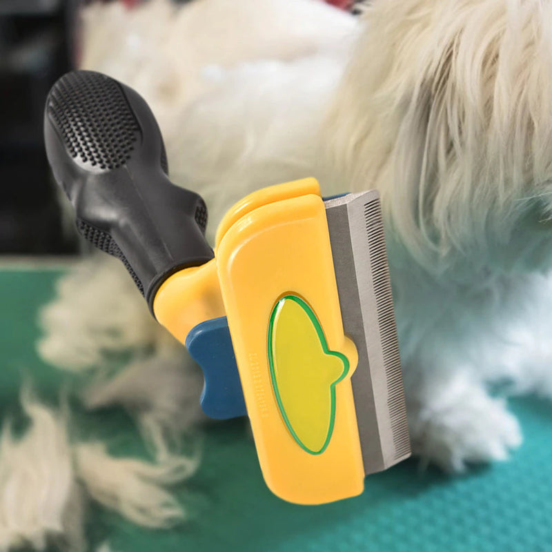 Pet Hair Removal