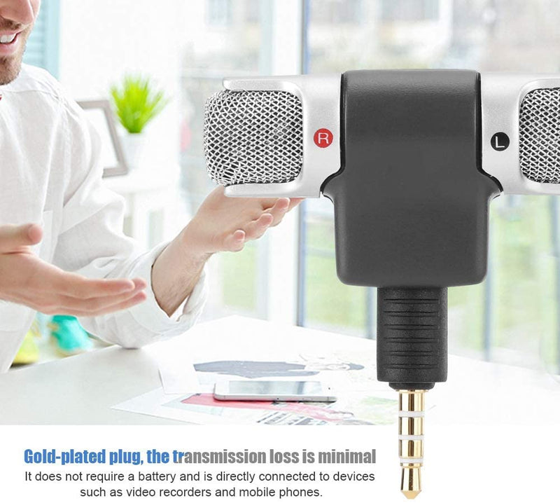 Mini Stereo Microphone Recorder