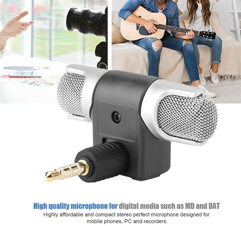 Mini Stereo Microphone Recorder