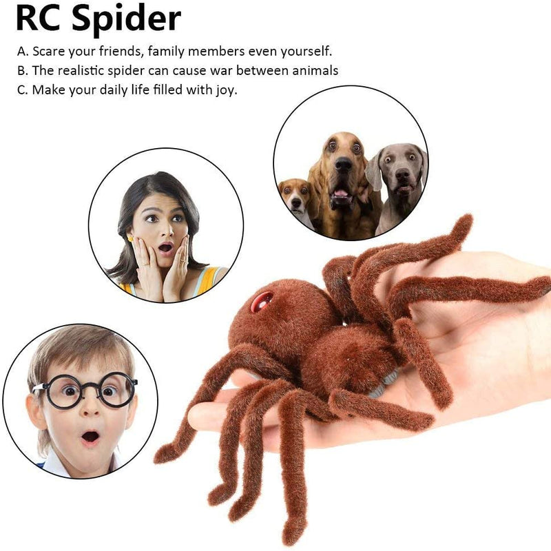 Remote Control Spider Toy