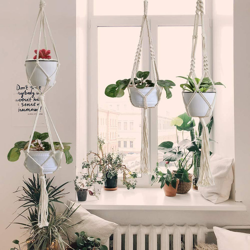 Macrame Plant Hangers