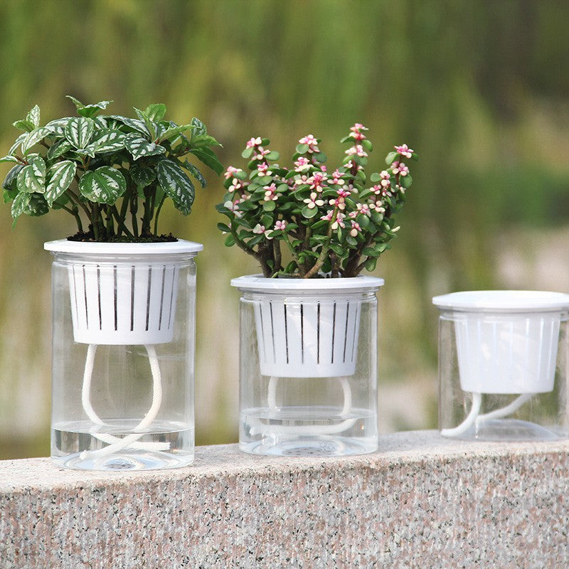 Automatic Water-absorbing Flower Pot