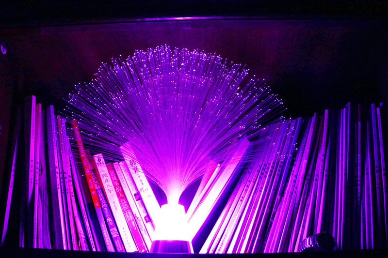 Multicolor LED Fiber-optic Light