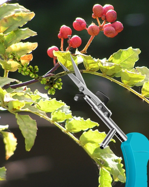 Gardening Mini Scissors