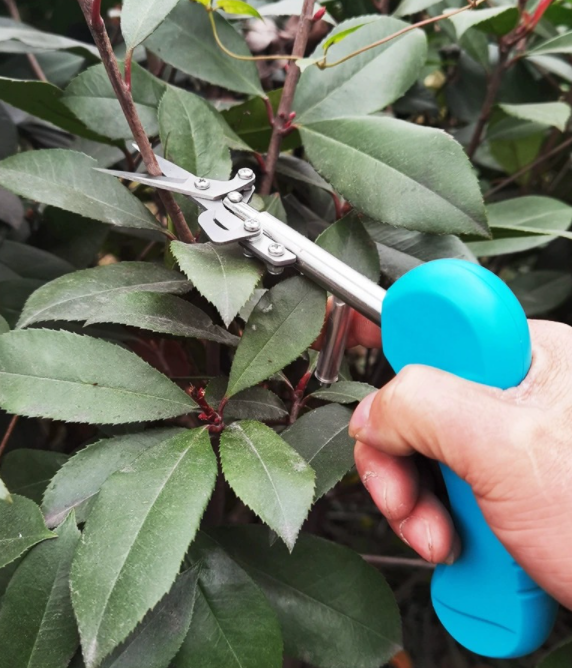 Gardening Mini Scissors