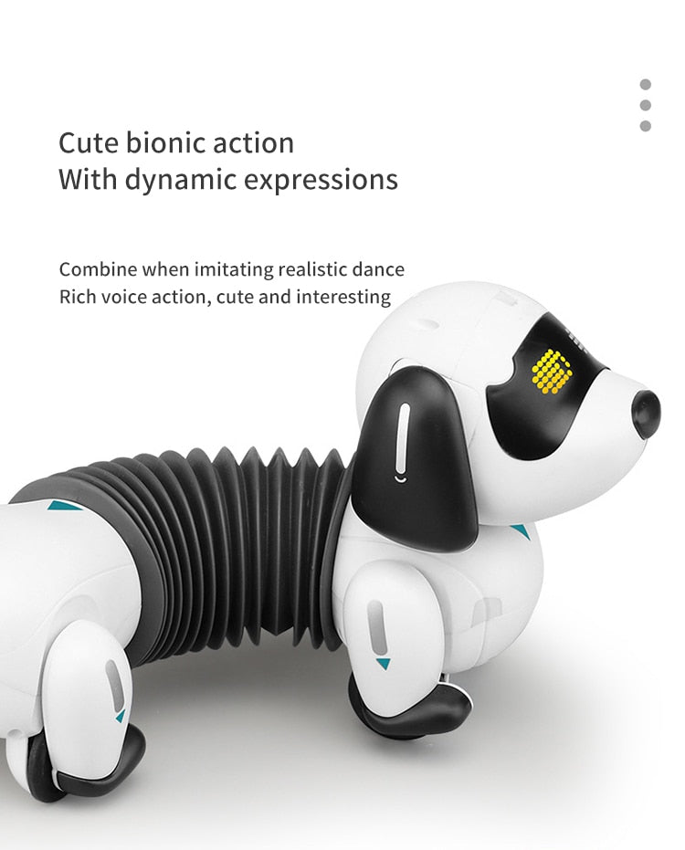 Smart Sensor Stunt Dog