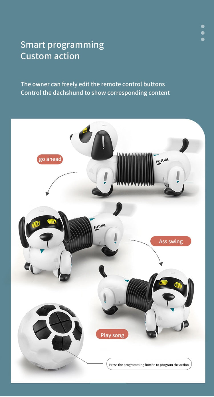 Smart Sensor Stunt Dog