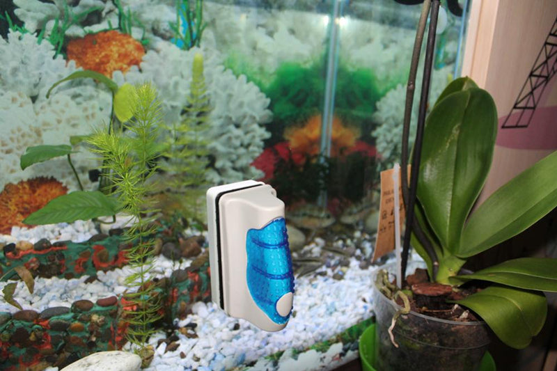 Fish Tank Magnetic Brush