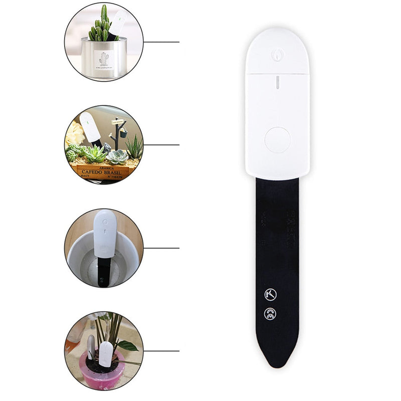 Soil Moisture Testing Electronic Hygrometer