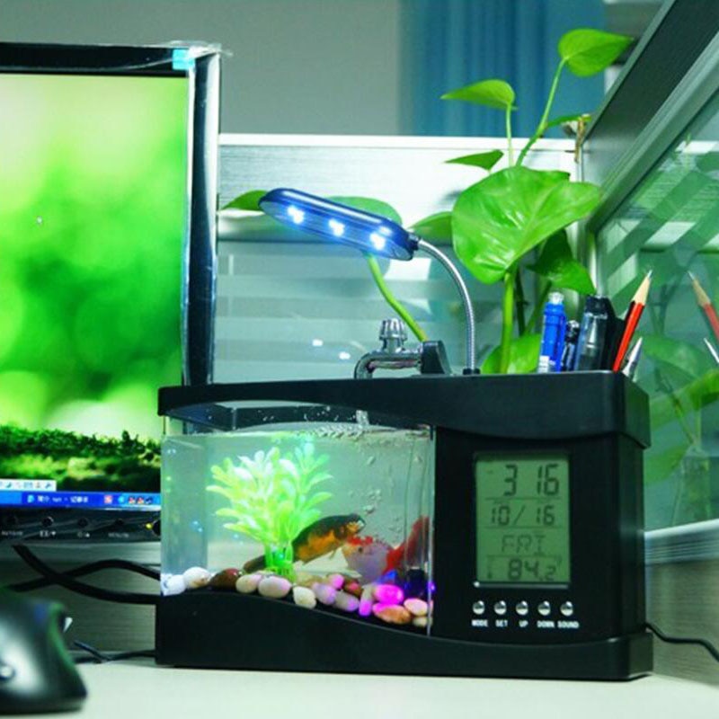 Multifunctional Mini Fish Tank