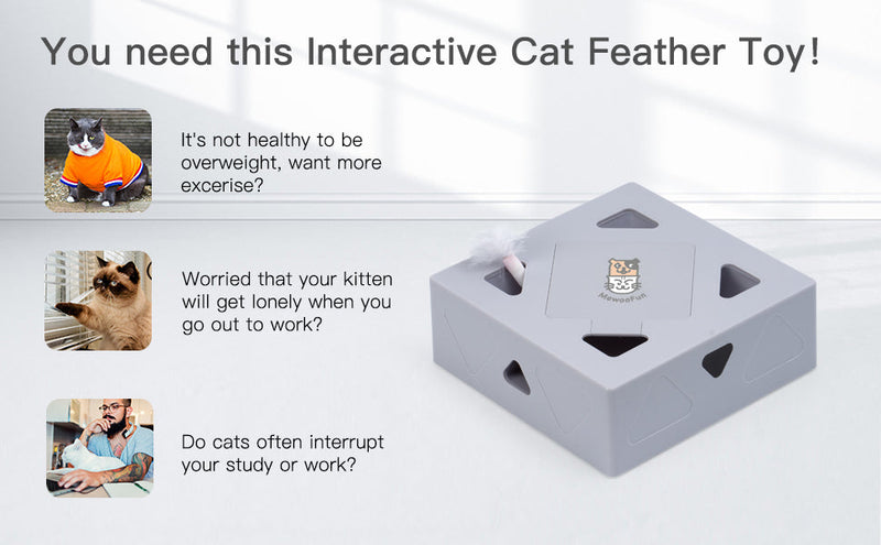 Intelligent Cat Feather Toy