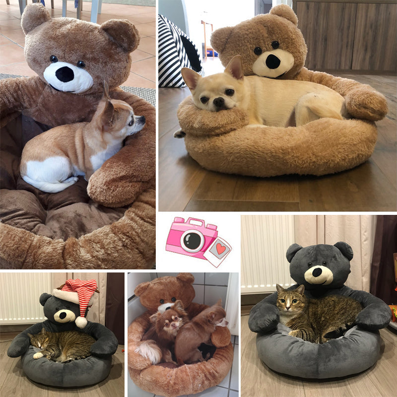 Cute Bear Hug Plush