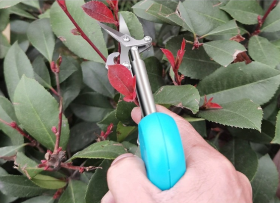 Gardening Mini Scissors