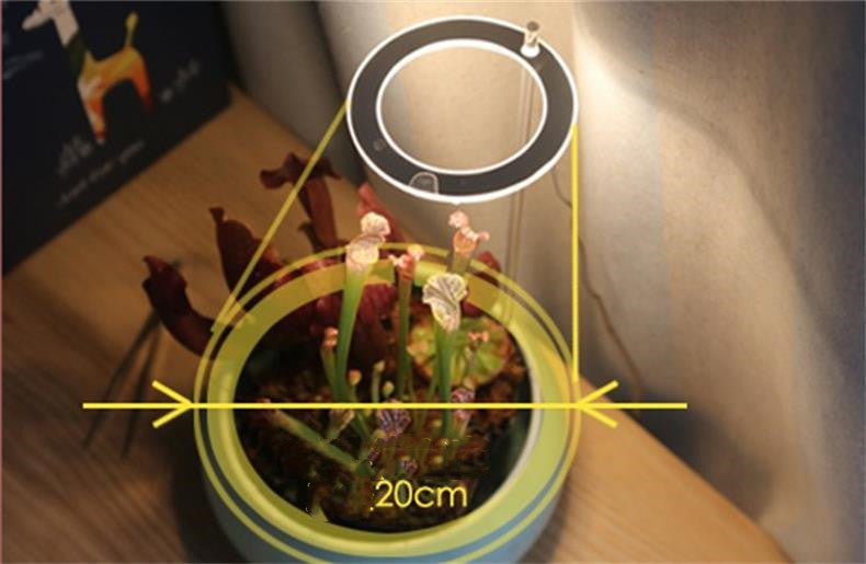 Indoor Plants Growth LED Lights