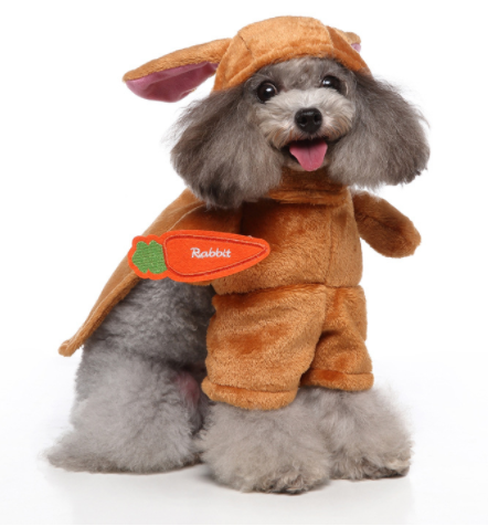 Funny Pet Outfit Clothes